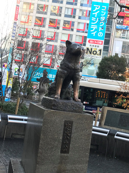 ◆第47回渋谷区くみんの広場 ふるさと渋谷フェスティバル2024 イベントに出展いたします◆